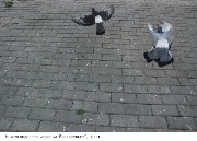 Курс «Фотография»