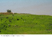 Курс «Фотография»
